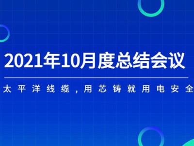 河南太平洋線(xiàn)纜月度總結(jié)會(huì)議