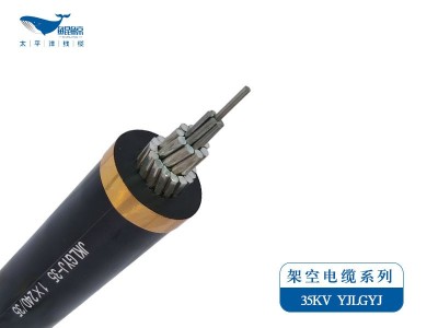 架空電纜系列JKLYJ，JKLGYJ 0.6/1KV